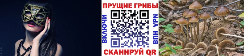 Галлюциногенные грибы мухоморы  Купить  Мостовской 